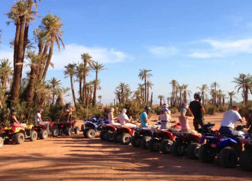 Quad and Camel Ride in Palmeraie of Marrakech