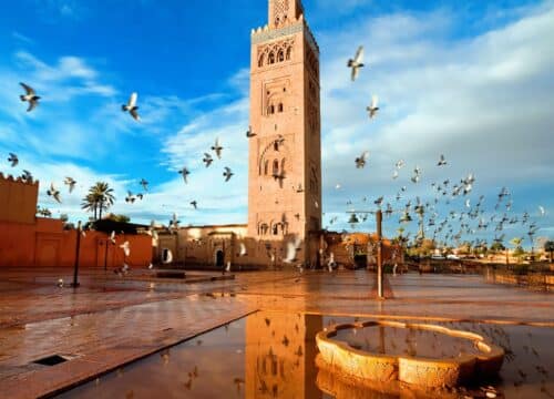 Half-Day Guided City Tour in Marrakech Hidden Medina