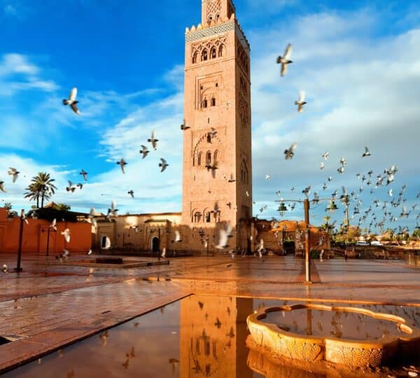 Explore Morocco