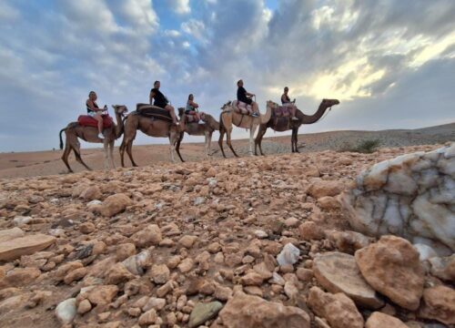 Quad Bike & Camel Ride In Agafay Desert