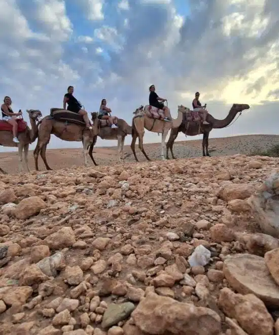 Quad Bike & Camel Ride In Agafay Desert