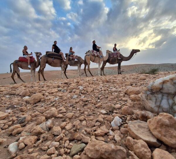 agafay camel